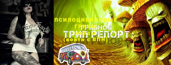 ешки Алексеевка