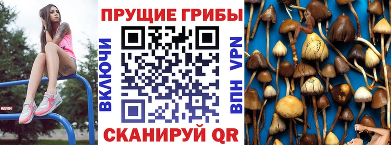 Галлюциногенные грибы Magic Shrooms  как найти   KRAKEN рабочий сайт  Мостовской 